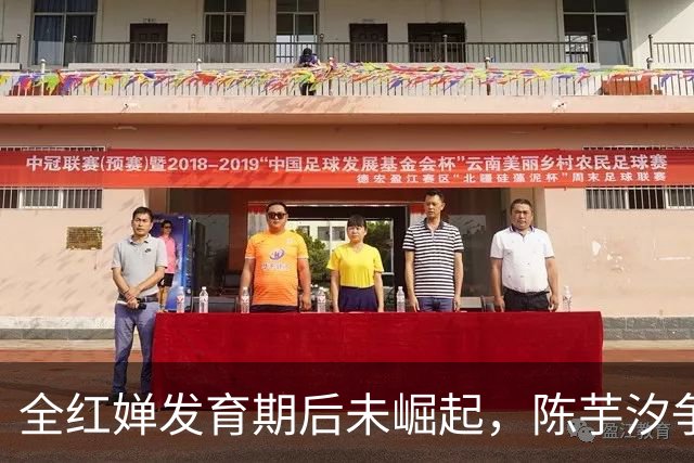 全红婵发育期后未崛起，陈芋汐争议表现引网友发堵