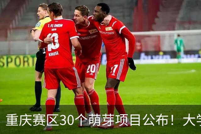 重庆赛区30个萌芽项目公布！大学生创新大赛进入新阶段