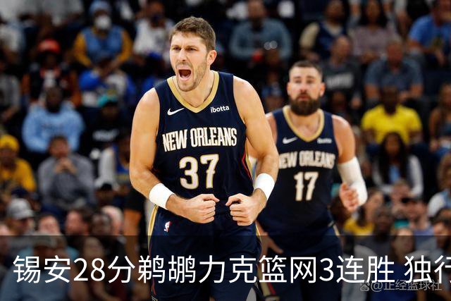 锡安28分鹈鹕力克篮网3连胜 独行侠险胜马刺